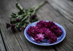 De flor en flor, nuevos sabores y texturas en la cocina